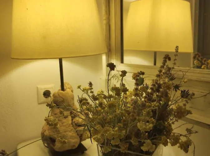 Sun & Sea Apartman Apolonía