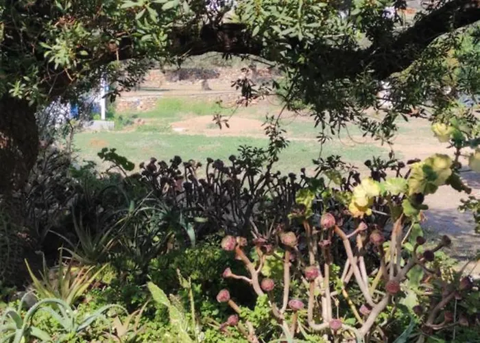 Apartman Sun & Sea Apolonía