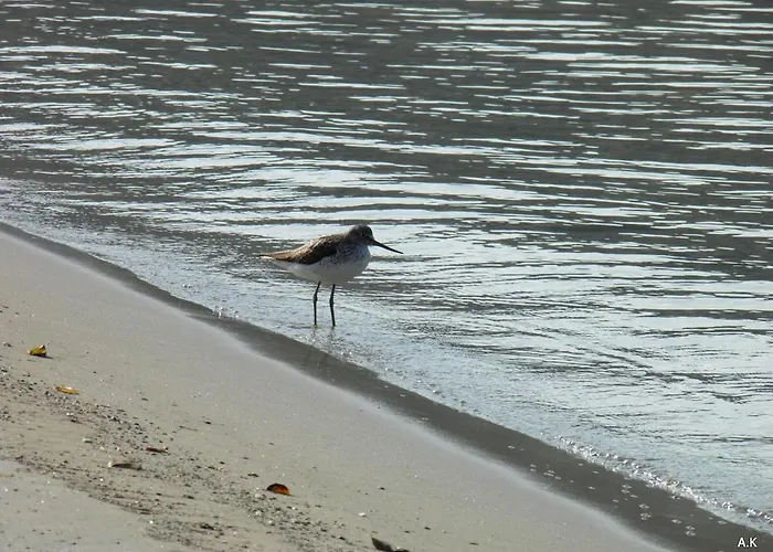 Apartman Sun & Sea Apolonía